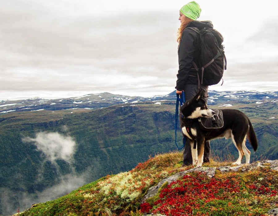 Tips for Hiking with Your Furry Friend