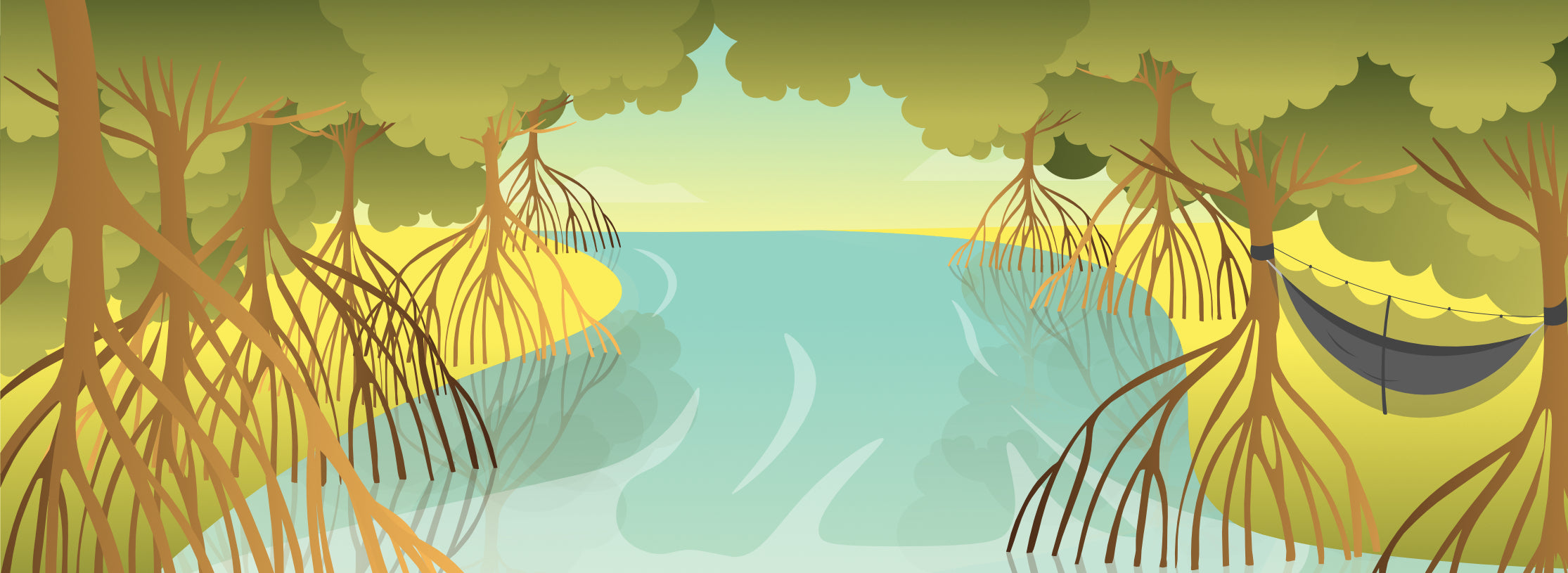 Vector style graphic of a mangrove forest with a Martin Bug Net hung up around a hammock