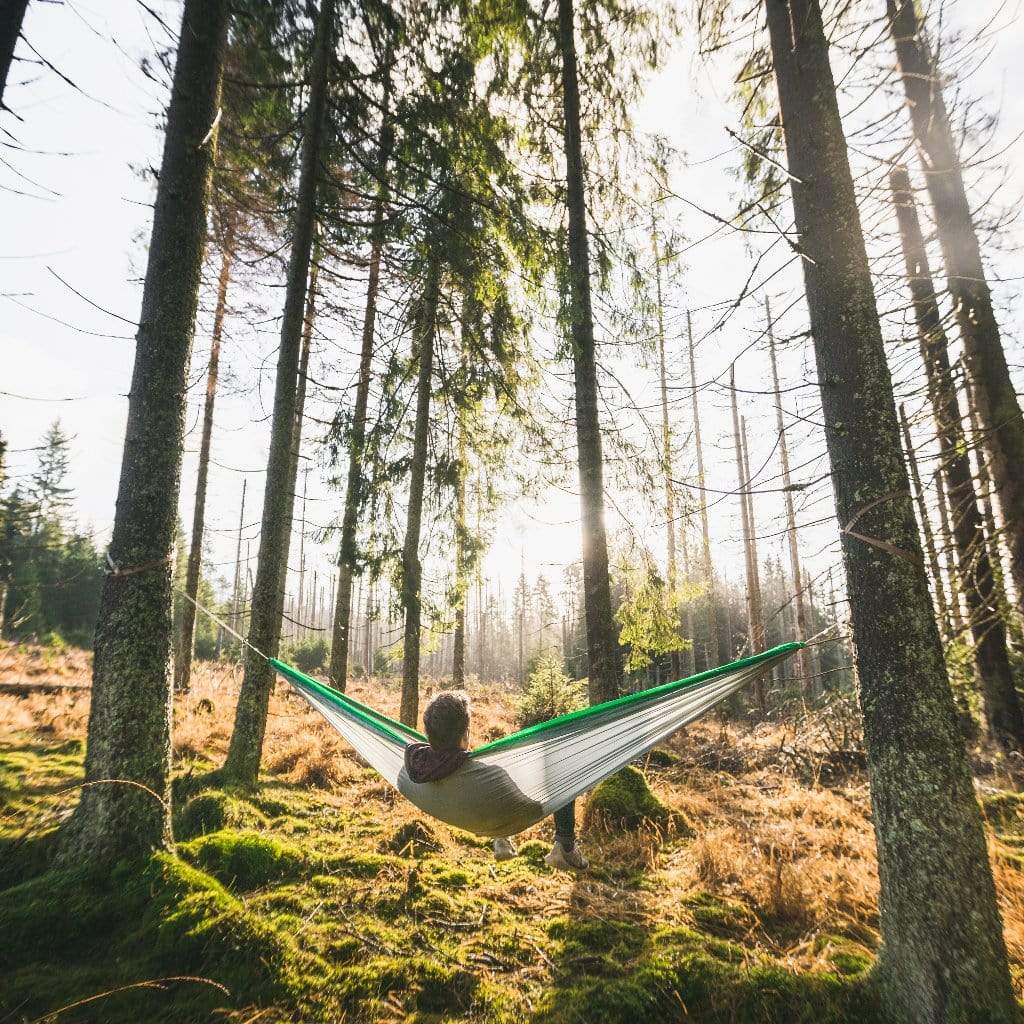 A person relaxing in a Hummingbird Hammocks Ultralight Double Hammock with a green and white striped pattern, strung between two trees in a sunlit forest.
