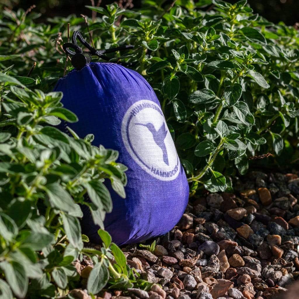 A blue Hummingbird Hammocks Ultralight Single+ Hammock camping gear bag with a white logo, placed on small rocks surrounded by green leafy plants.