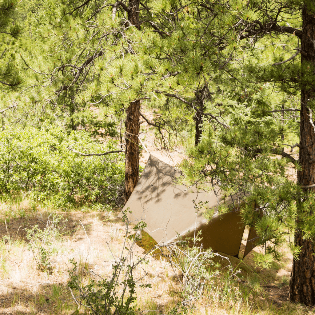 A tan Pelican Rain Tarp pitched among pine trees in a forest, blending with the natural surroundings by Hummingbird Hammocks.