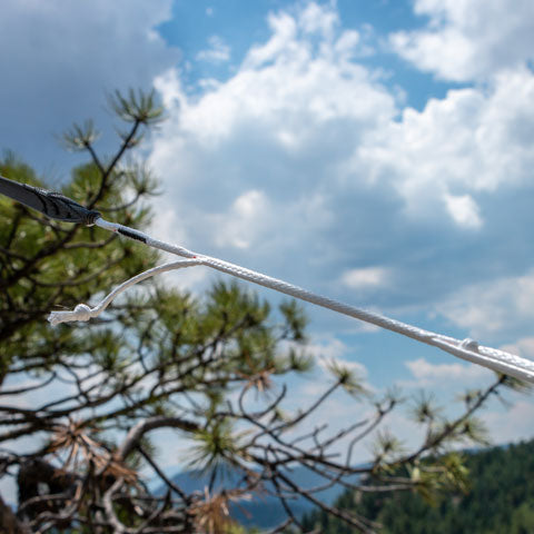 View of a whoopie sling in use with pine trees and mountains in the background