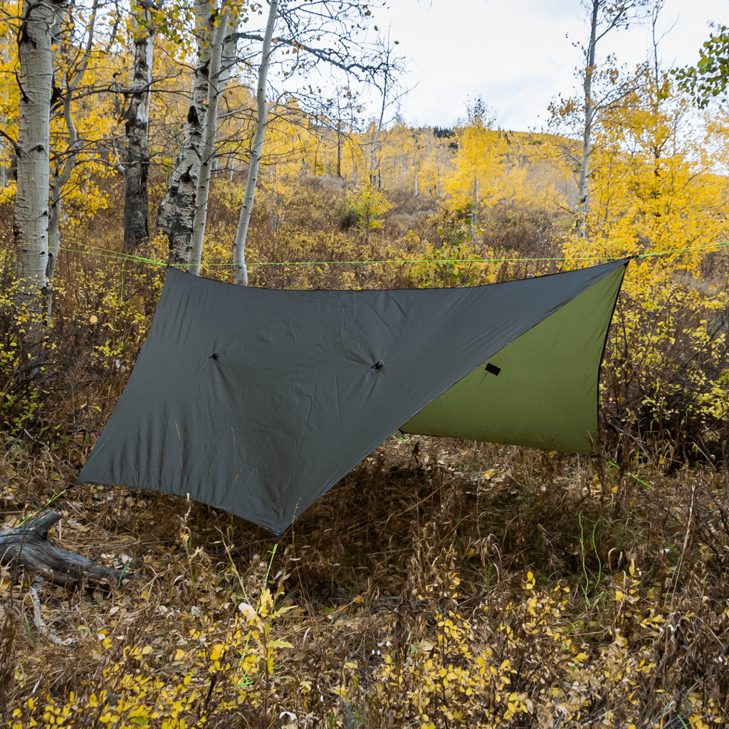 An ultralight Heron Rain Tarp shelter set up among yellow-leafed trees in a forest during autumn. (Hummingbird Hammocks)