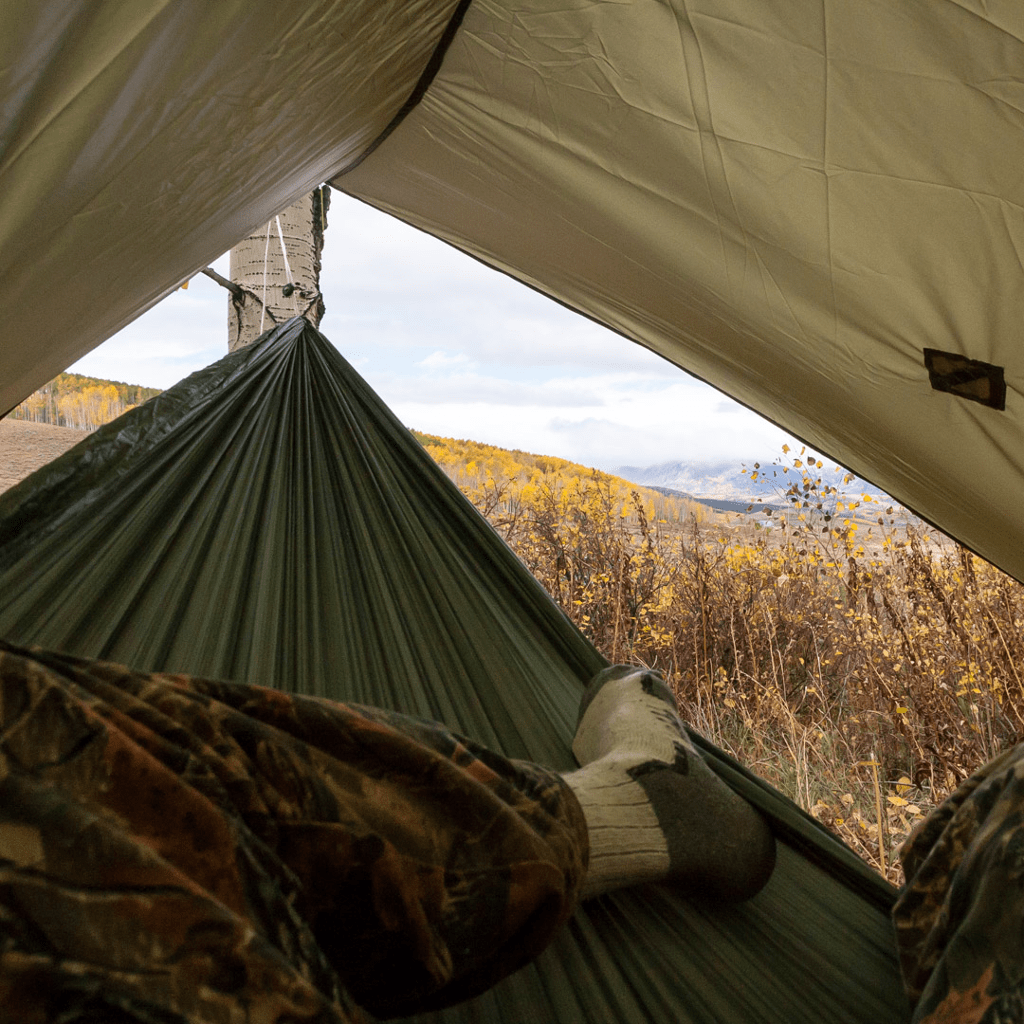 View from inside a tent looking out at a Hummingbird Hammocks Heron Rain Tarp and autumn forest landscape.
